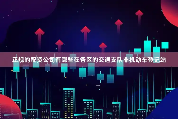 正规的配资公司有哪些在各区的交通支队非机动车登记站