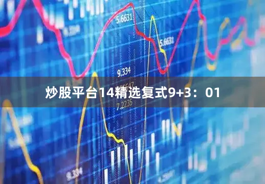 炒股平台14　　精选复式9+3：01